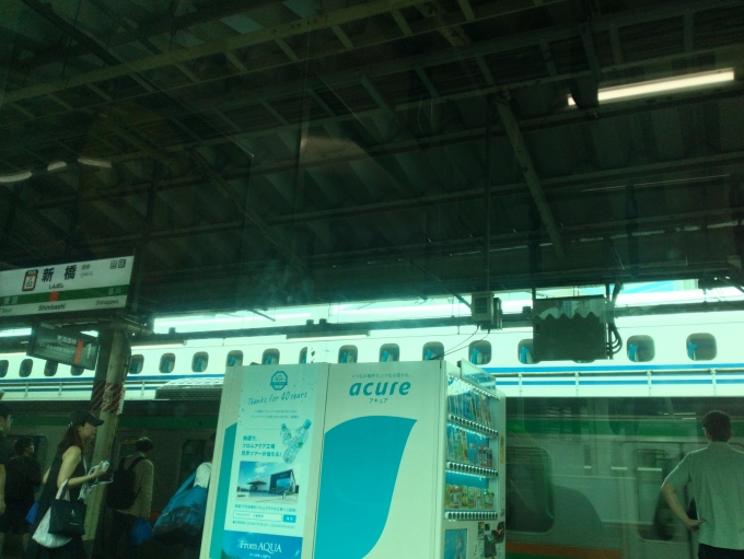 鉄道乗車記録の写真:車窓・風景(1)        「停電の影響で停車している東海道新幹線」