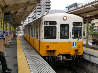 高松築港駅から高松築港駅の乗車記録(乗りつぶし)写真