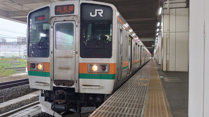 鉄道乗車記録の写真:乗車した列車(外観)(1)          