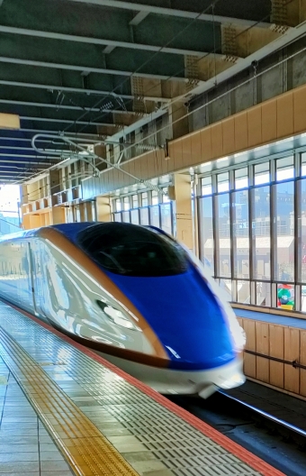 しなの鐵道、長野電鉄、上越妙高駅の乗車記録(乗りつぶし)写真