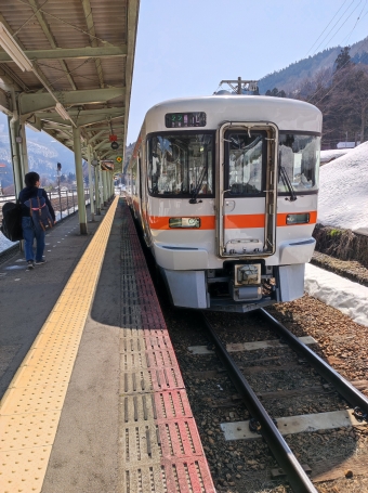 富山駅から下呂駅の乗車記録(乗りつぶし)写真