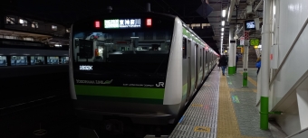 八王子駅から鴨居駅の乗車記録(乗りつぶし)写真