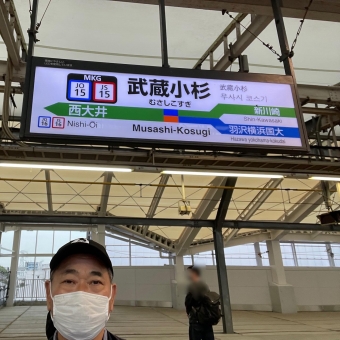 羽沢横浜国大駅から武蔵小杉駅の乗車記録(乗りつぶし)写真