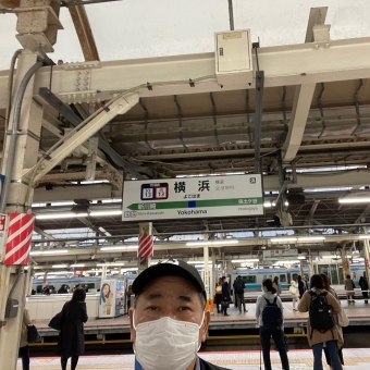 武蔵小杉駅から横浜駅の乗車記録(乗りつぶし)写真