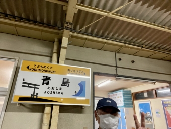 南宮崎駅から青島駅の乗車記録(乗りつぶし)写真