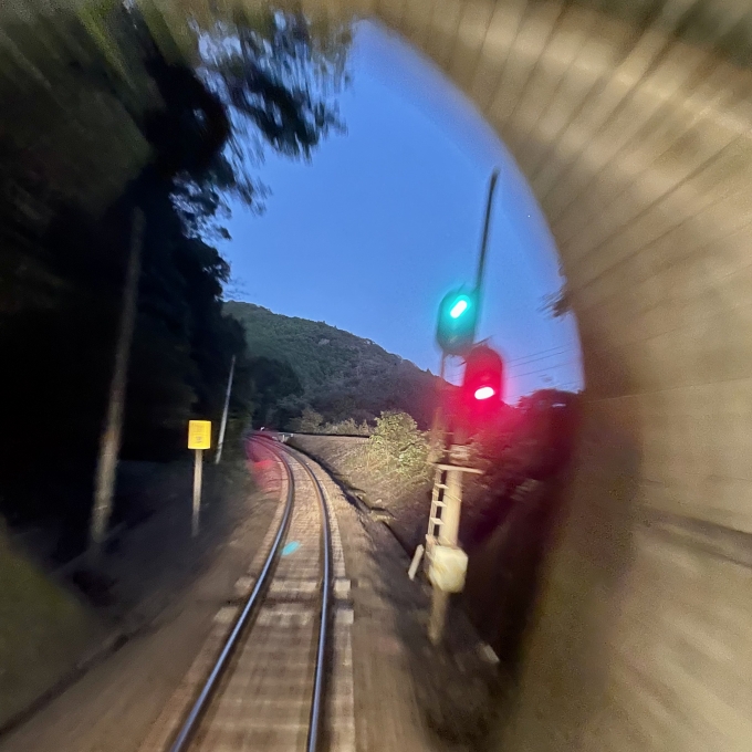 鉄道乗車記録の写真:車窓・風景(4)        「中村線ループトンネル出口川奥信号所予土線と合流」
