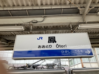 鳳駅から東羽衣駅:鉄道乗車記録の写真