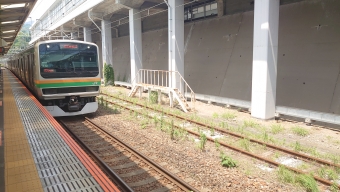 熱海駅から茅ケ崎駅:鉄道乗車記録の写真