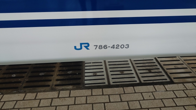鉄道乗車記録の写真:車両銘板(4)        「786-4203」