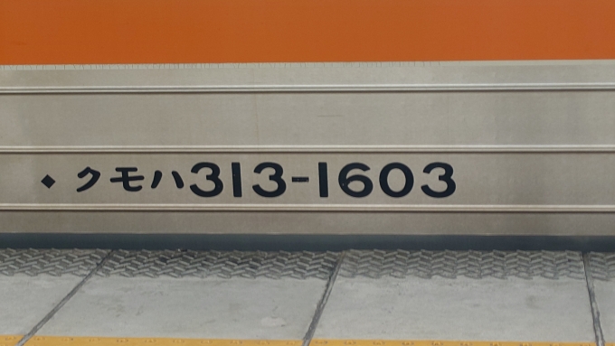 鉄道乗車記録の写真:車両銘板(3)     「クモハ313-1603(車外)」