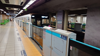 大手町駅から九段下駅:鉄道乗車記録の写真