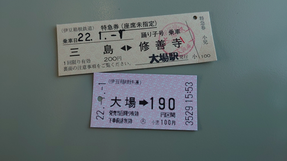 鉄道乗車記録「大場駅から三島駅」きっぷの写真(2) by twteruya 撮影日時:2022年01月01日