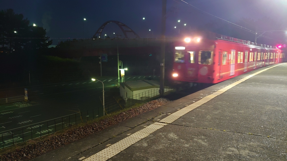 鉄道乗車記録「和歌山港駅から和歌山市駅」乗車した列車(外観)の写真(1) by twteruya 撮影日時:2021年03月14日