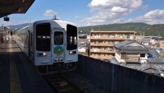 奈半利駅から後免駅の乗車記録(乗りつぶし)写真