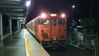 新高岡駅から高岡駅:鉄道乗車記録の写真