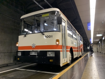 室堂駅から大観峰駅:鉄道乗車記録の写真