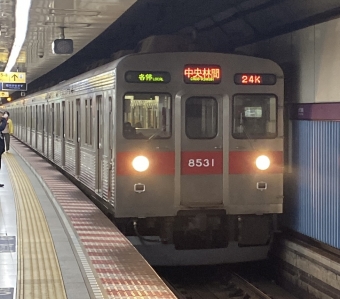 永田町駅から東川口駅の乗車記録(乗りつぶし)写真