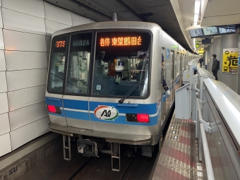 大手町駅から九段下駅の乗車記録(乗りつぶし)写真