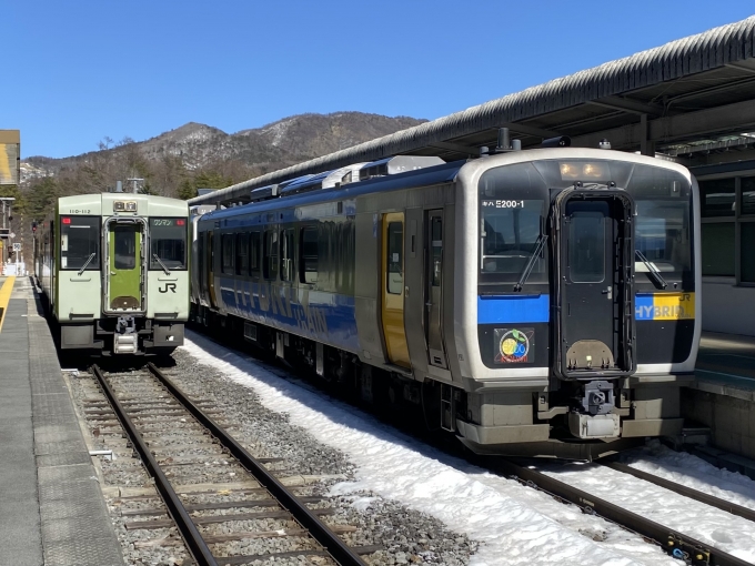 鉄道乗車記録の写真:乗車した列車(外観)(2)        「元祖ハイブリッド気動車であるキハE200系と並びました。」