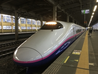 浦佐駅から東京駅の乗車記録(乗りつぶし)写真