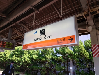 西九条駅から鳳駅の乗車記録(乗りつぶし)写真