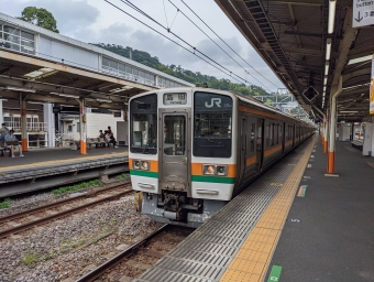 熱海駅から清水駅:鉄道乗車記録の写真