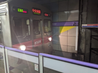 錦糸町駅から渋谷駅の乗車記録(乗りつぶし)写真