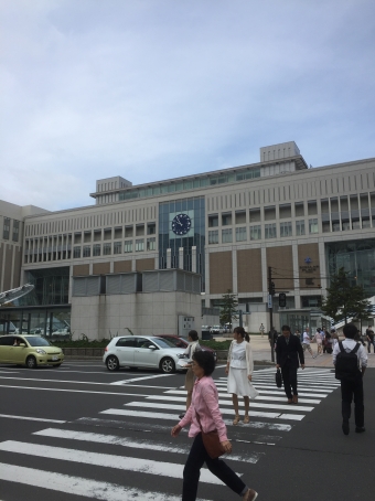 札幌駅から南千歳駅の乗車記録(乗りつぶし)写真