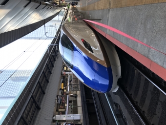 東京駅から新潟駅:鉄道乗車記録の写真