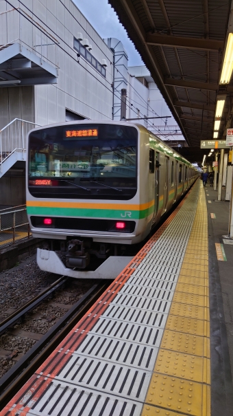 大船駅から藤沢駅の乗車記録(乗りつぶし)写真