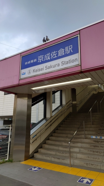 京成佐倉駅から京成上野駅の乗車記録(乗りつぶし)写真