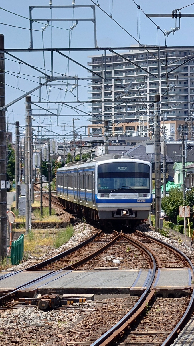 鉄道乗車記録の写真:乗車した列車(外観)(3)        