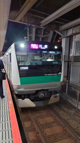 大崎駅から池袋駅の乗車記録(乗りつぶし)写真