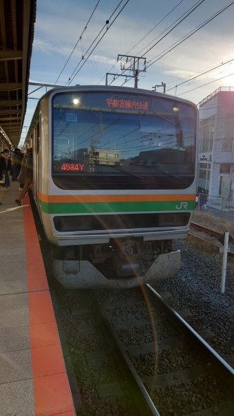 鎌倉駅から池袋駅の乗車記録(乗りつぶし)写真