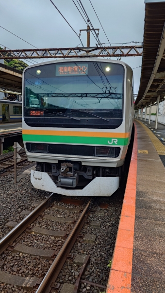 逗子駅から池袋駅の乗車記録(乗りつぶし)写真