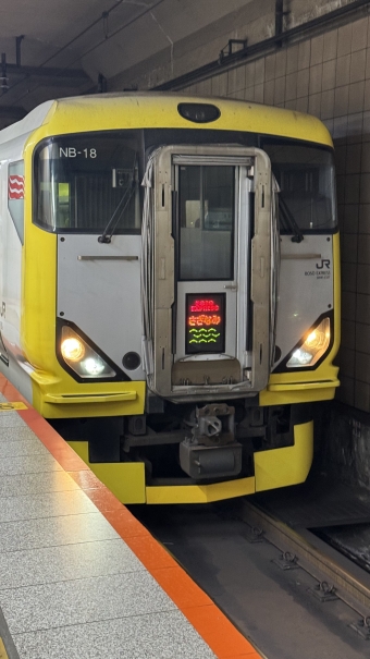 東京駅から木更津駅の乗車記録(乗りつぶし)写真