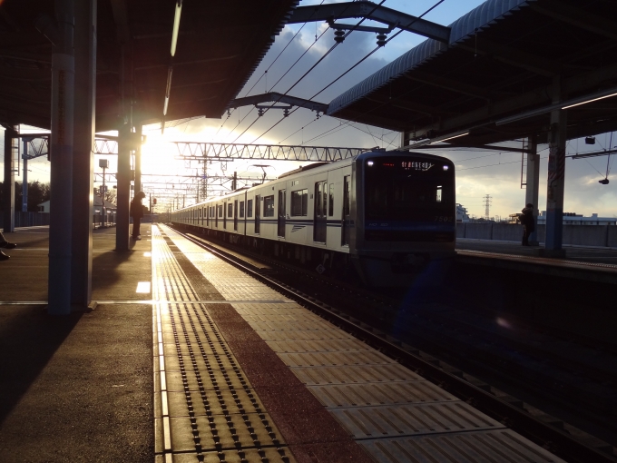 鉄道乗車記録の写真:列車・車両の様子(未乗車)(1)     「日の向きの関係で見えにくいです」