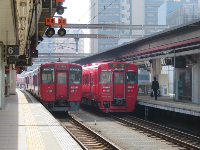 鉄道乗車記録の写真:列車・車両の様子(未乗車)(1)        「キハ200とキハ220の回送での並び。」