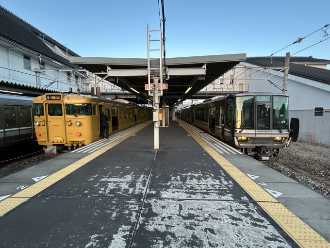 鉄道乗車記録の写真:乗車した列車(外観)(5)        「115系と223系」