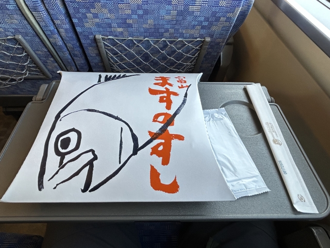 鉄道乗車記録の写真:駅弁・グルメ(2)     「金沢駅で買った駅弁「ますのすし」」