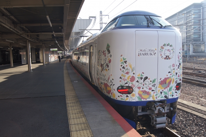 鉄道乗車記録の写真:乗車した列車(外観)(1)        「JR西日本の最新型特急電車に初乗車しました。」
