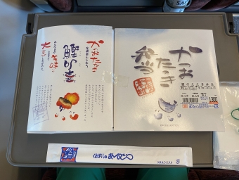 高知駅から多度津駅の乗車記録(乗りつぶし)写真