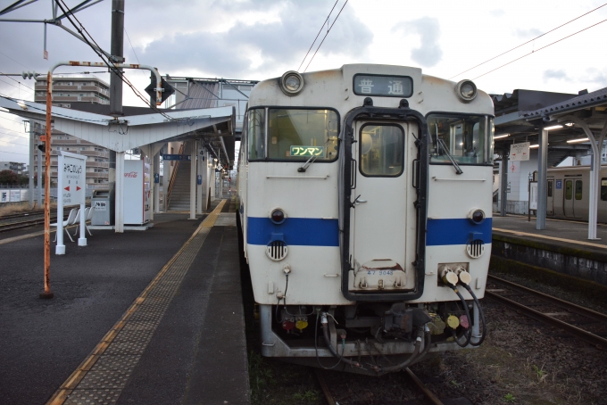 鉄道乗車記録の写真:乗車した列車(外観)(1)          「宮崎からの特急、霧の為遅延するも吉都線も荒天で遅延していたので乗車達成」