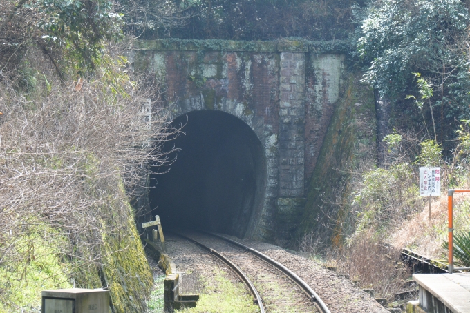 鉄道乗車記録の写真:車窓・風景(17)        「往路で見つけたレンガ造りのトンネル。

今では支線ですがこの路線が古くからあるのが判ります。

1899年12月25日開業（明治32年）」