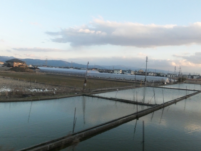 鉄道乗車記録の写真:車窓・風景(6)        「大和郡山の金魚の養殖池」