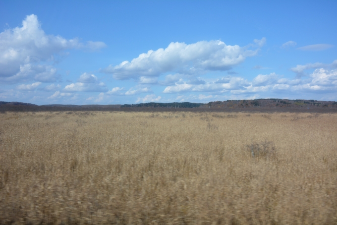 鉄道乗車記録の写真:車窓・風景(6)        「別寒辺牛湿原」