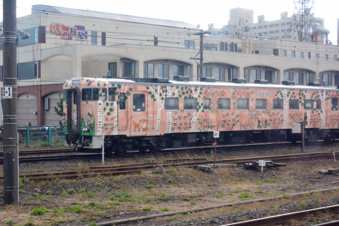 鉄道乗車記録の写真:列車・車両の様子(未乗車)(9)        「キハ40-1780」