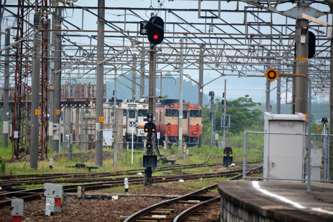 鉄道乗車記録の写真:列車・車両の様子(未乗車)(8)        「留置されているキハ40か147」