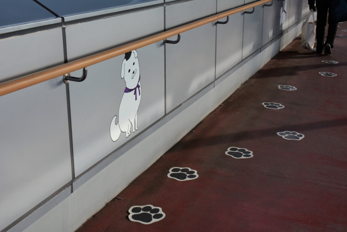 鉄道乗車記録の写真:駅舎・駅施設、様子(5)        「高架自由通路は犬も歩ける？」