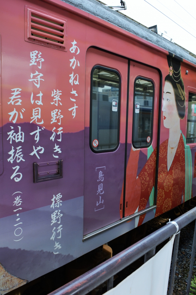 鉄道乗車記録の写真:列車・車両の様子(未乗車)(7)        「JR和歌山線の車両」